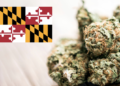 Maryland Lawmakers Clear The Way For A Legal Cannabis Market