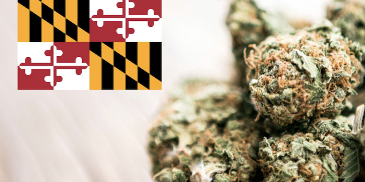 Maryland Lawmakers Clear The Way For A Legal Cannabis Market