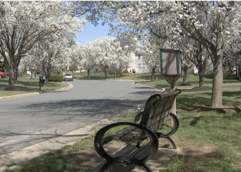 Ashburn Residents Offered $4M Each To Sell To Data Center Developers