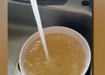 ‘We Don’t Want To Drink This Water:’ Brown Tap Water Frustrates Bowie Residents