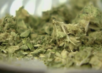 DC Proposal Would Open Doors To Cannabis Drinks Made By Local Brewers