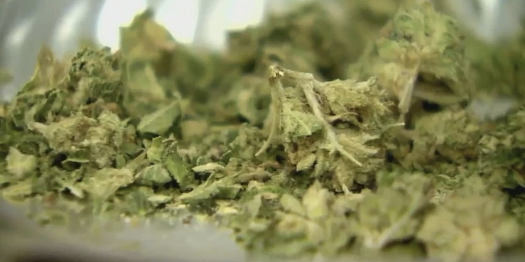 DC Proposal Would Open Doors To Cannabis Drinks Made By Local Brewers