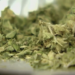 DC Proposal Would Open Doors To Cannabis Drinks Made By Local Brewers
