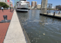 SUN: Baltimore Inner Harbor Water Quality ‘Gradually Declining,’ Report Shows