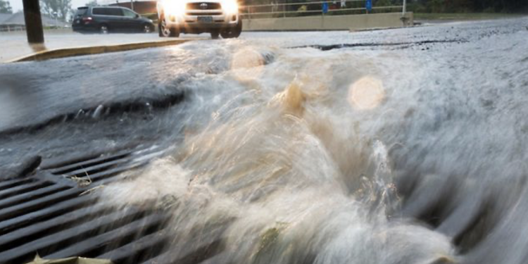 What Happens To Runoff Water In The DMV After Heavy Downpours?