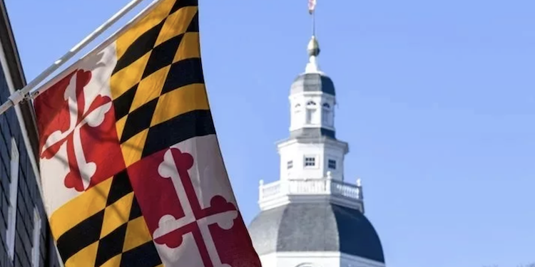 Digital Ad Sales Tax Struck Down By Court