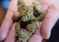 Virginia Is One Step Closer To Allowing The Sale Of Recreational Pot