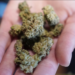 Virginia Is One Step Closer To Allowing The Sale Of Recreational Pot